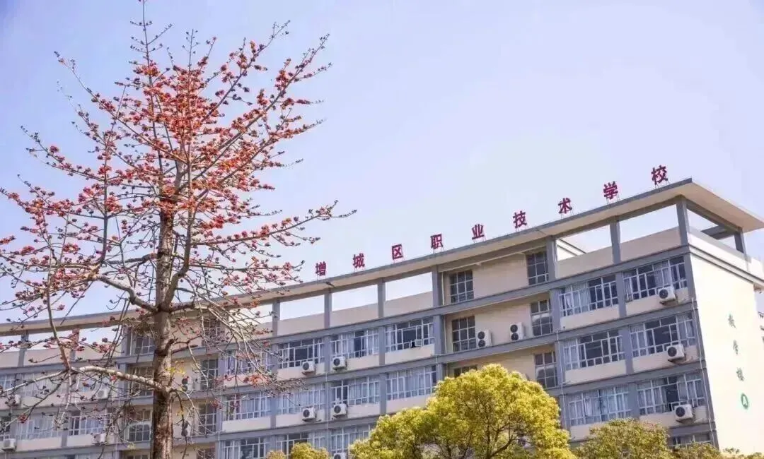 清远中考志愿填报全解:公办 / 民办 / 中职,广州学校报考指南-第21张图片-四季读书网