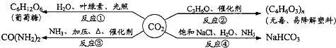 【真题赏析】初升高化学自招试卷-9-第4张图片-四季读书网 【真题赏析】初升高化学自招试卷-9-第4张图片-四季读书网