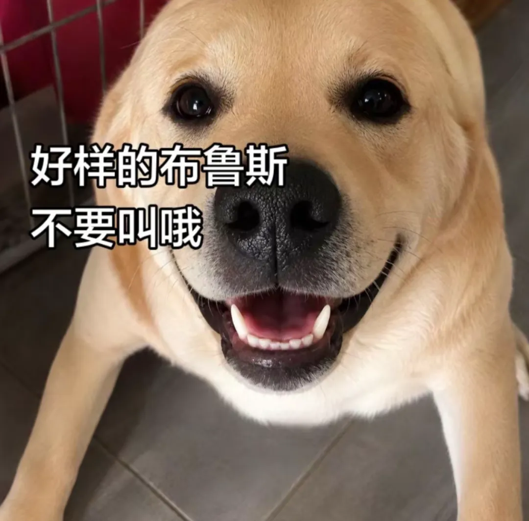 有梗青年 | 试卷收官,热梗开篇-第16张图片-四季读书网