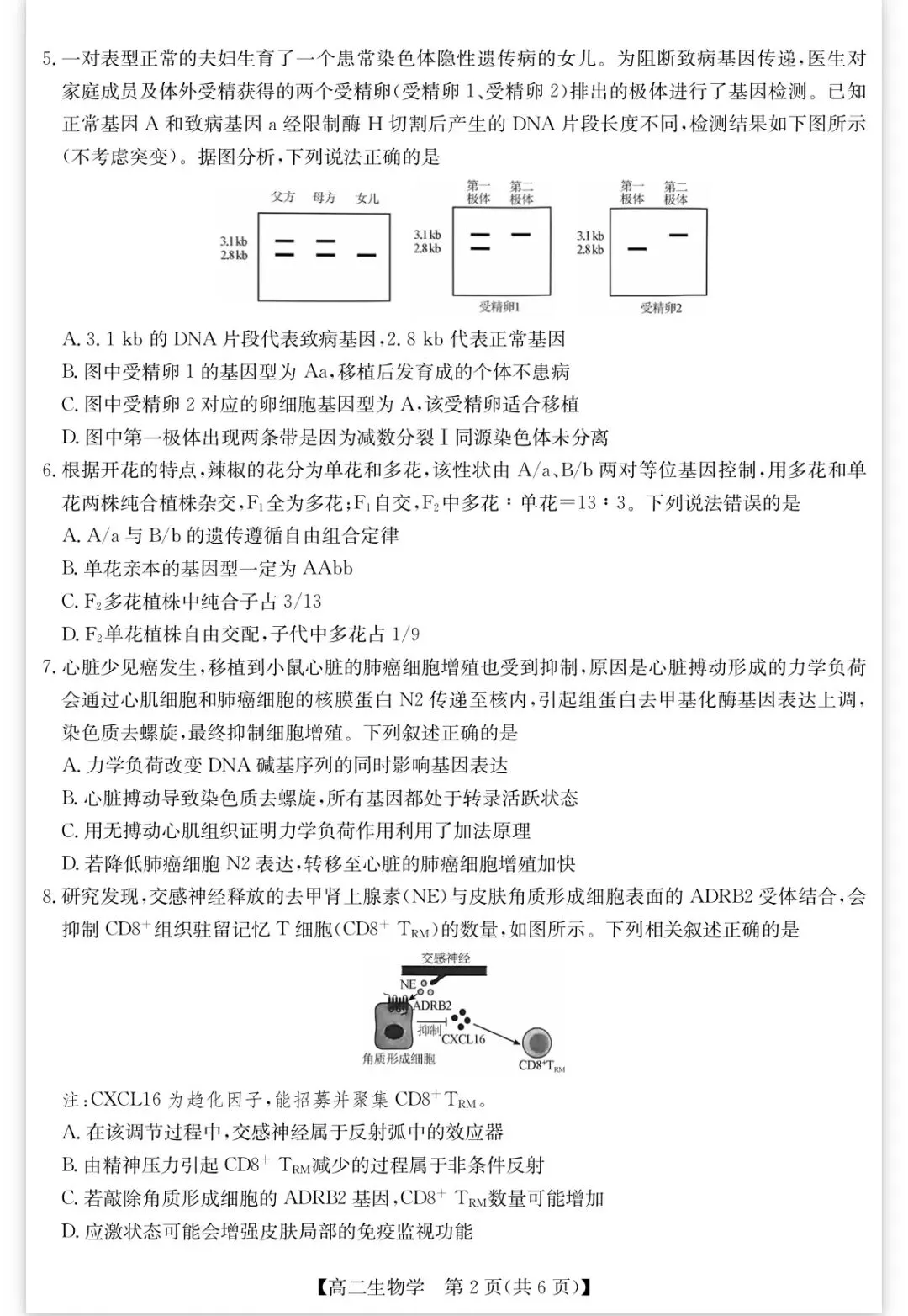 2026年春学期高二期末考试试卷(含答案)-第1张图片-四季读书网 2026年春学期高二期末考试试卷(含答案)-第1张图片-四季读书网
