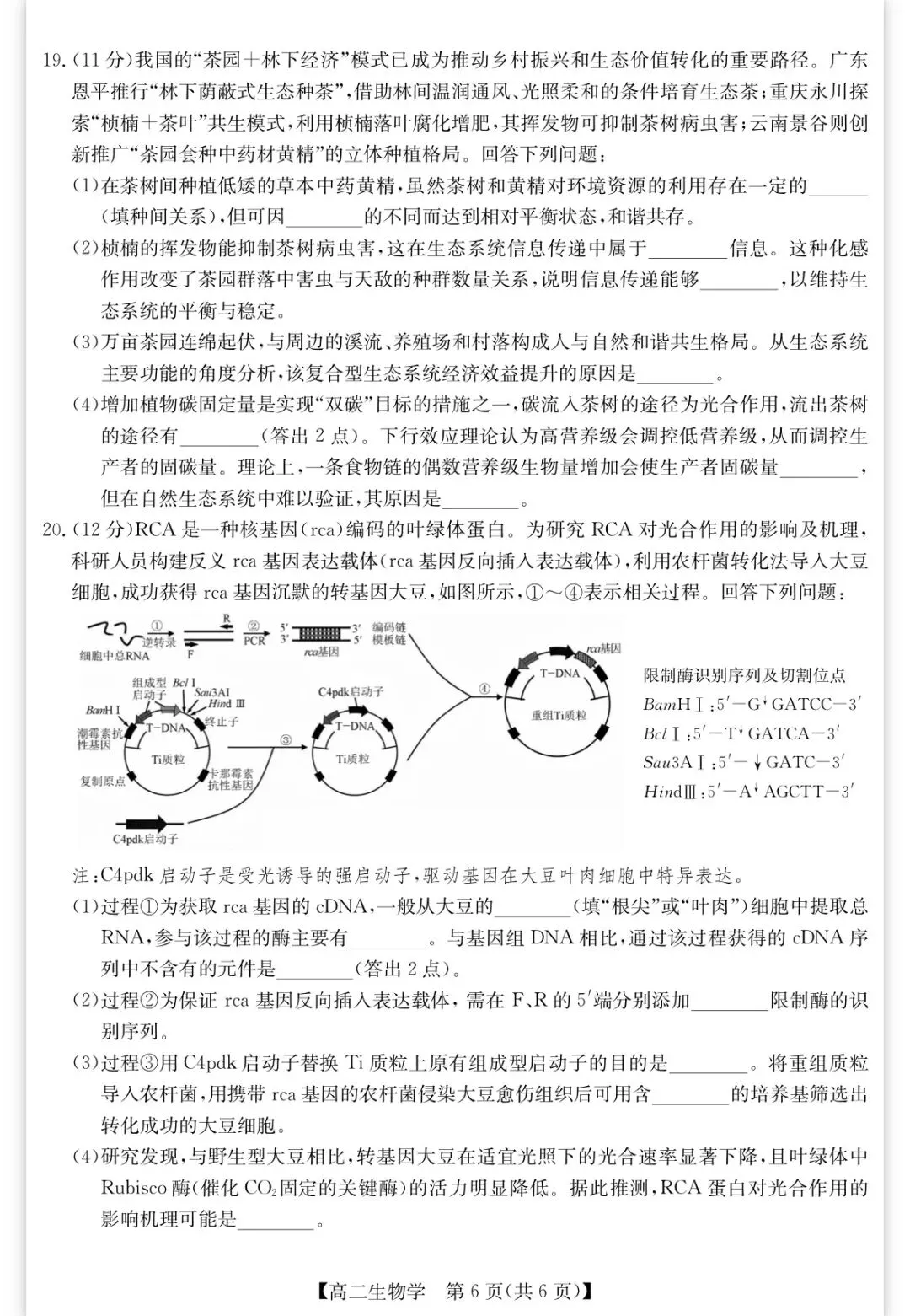 2026年春学期高二期末考试试卷(含答案)-第5张图片-四季读书网 2026年春学期高二期末考试试卷(含答案)-第5张图片-四季读书网