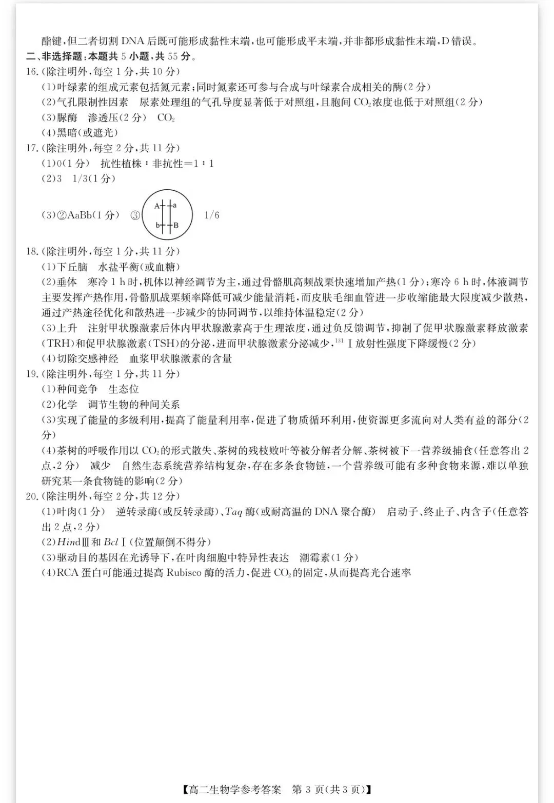 2026年春学期高二期末考试试卷(含答案)-第8张图片-四季读书网 2026年春学期高二期末考试试卷(含答案)-第8张图片-四季读书网