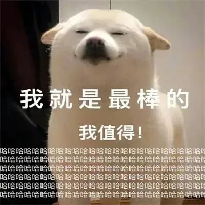 中考出成绩后的聊天礼仪,望周知~-第1张图片-四季读书网