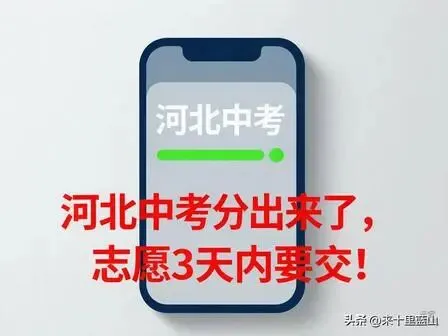 瑞意教育 2026 阳光助学项目(河北中考出分专属)-第3张图片-四季读书网 瑞意教育 2026 阳光助学项目(河北中考出分专属)-第3张图片-四季读书网