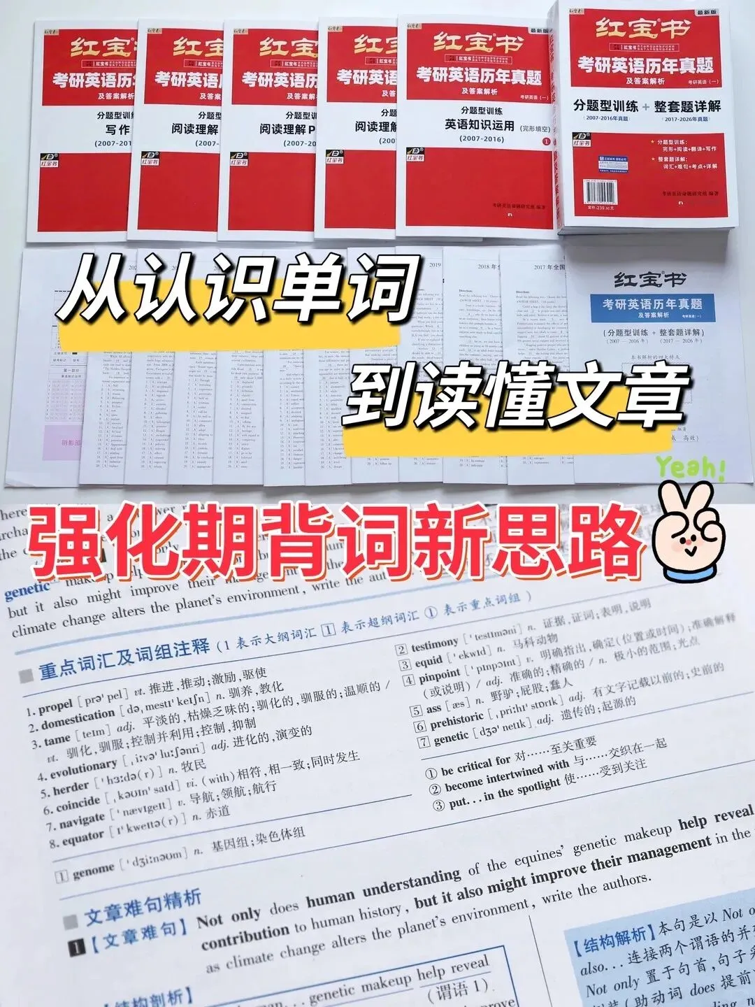 考研英语强化阶段,如何结合真题背单词?-第1张图片-四季读书网 考研英语强化阶段,如何结合真题背单词?-第1张图片-四季读书网