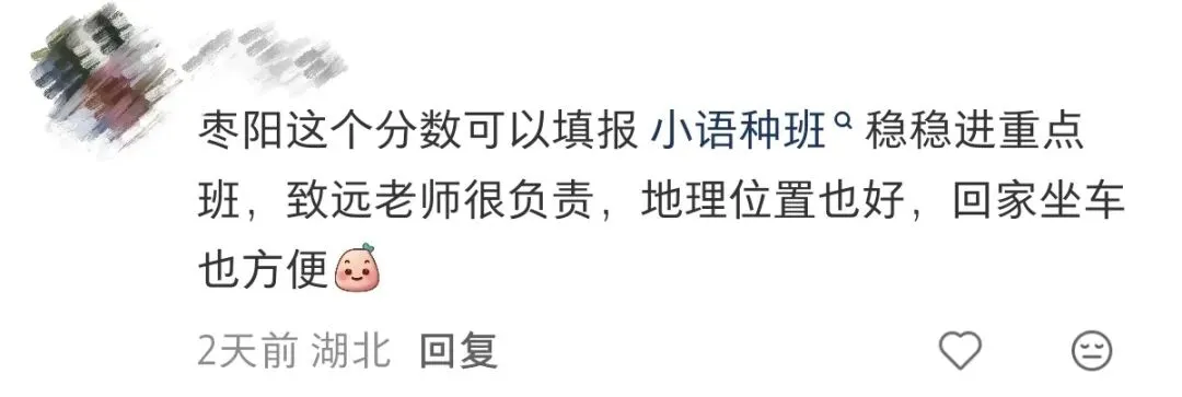 中考差不多录取线,两所省示范:致远中学VS襄阳六中,到底选哪个?-第19张图片-四季读书网
