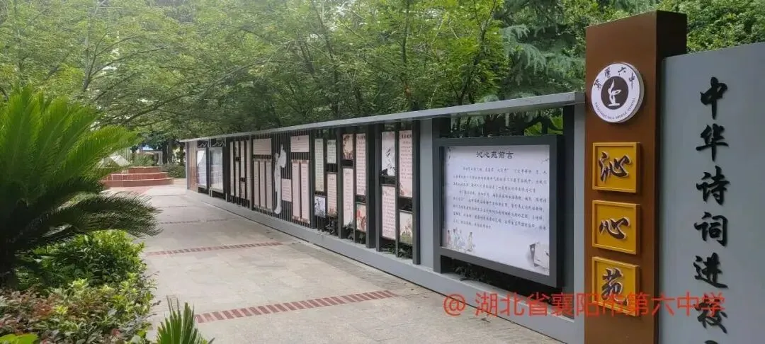 中考差不多录取线,两所省示范:致远中学VS襄阳六中,到底选哪个?-第24张图片-四季读书网