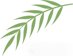 2026年广州中职介绍|中考没上普高别乱选!公办省重点食药校,孩子稳走健康赛道之广东省食品药品职业技术学校-第5张图片-四季读书网