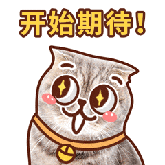 上海中考成绩今日公布!如何查分?-第2张图片-四季读书网 上海中考成绩今日公布!如何查分?-第2张图片-四季读书网