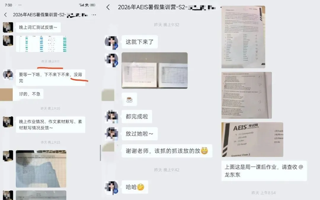 AEIS考试暑期集训日常:分层教学、量化追踪、周末模考:我们这样帮孩子高效备考-第9张图片-四季读书网