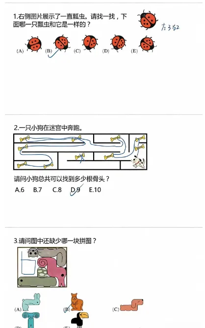 【免费领】袋鼠数学竞赛历年真题(2013-2026),刷完考试就稳了!-第6张图片-四季读书网 【免费领】袋鼠数学竞赛历年真题(2013-2026),刷完考试就稳了!-第6张图片-四季读书网