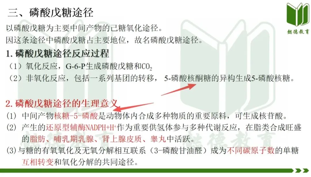 2026年执兽考试真题及答案③,仅供参考,不断更新中-第8张图片-四季读书网 2026年执兽考试真题及答案③,仅供参考,不断更新中-第8张图片-四季读书网