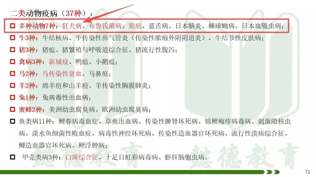 2026年执兽考试真题及答案③,仅供参考,不断更新中-第15张图片-四季读书网 2026年执兽考试真题及答案③,仅供参考,不断更新中-第15张图片-四季读书网