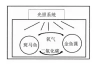 2026届广东深圳中考 语文真题及答案-第2张图片-四季读书网