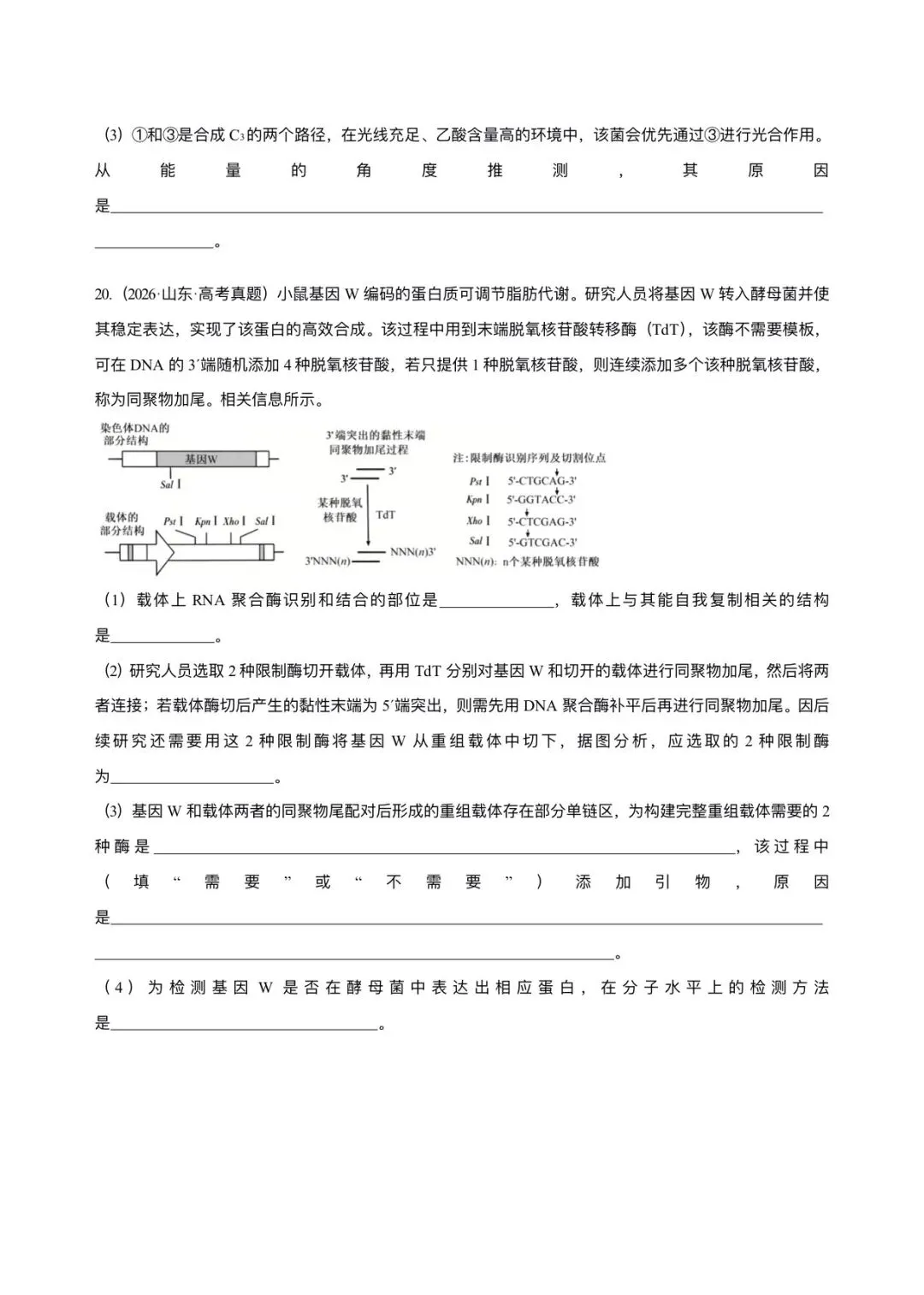 河北省近5年高考生物真题汇编-必修1分子与细胞(含题目和解析)-第7张图片-四季读书网 河北省近5年高考生物真题汇编-必修1分子与细胞(含题目和解析)-第7张图片-四季读书网