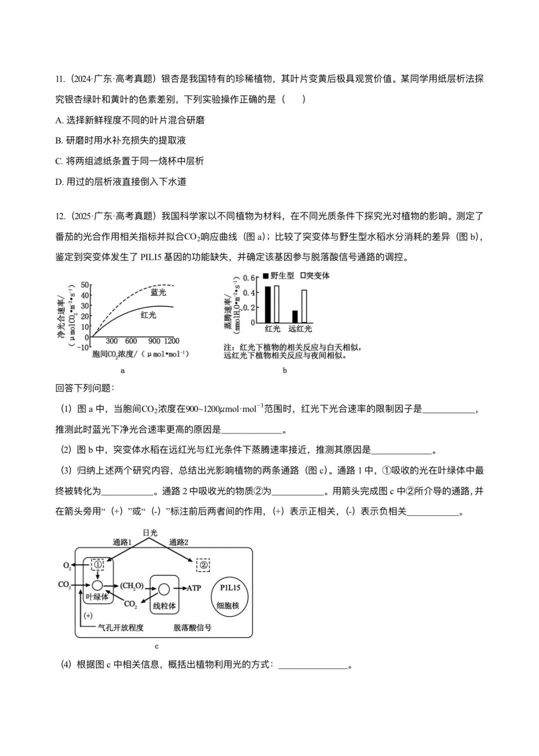 广东省近5年高考生物真题汇编-必修1分子与细胞(含题目和解析)-第4张图片-四季读书网 广东省近5年高考生物真题汇编-必修1分子与细胞(含题目和解析)-第4张图片-四季读书网