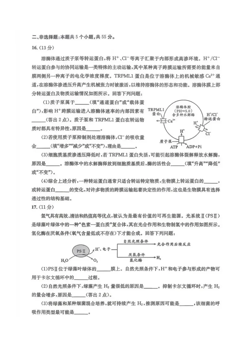 九科全收录!2027届成都零诊真题+参考答案一站汇总-第113张图片-四季读书网 九科全收录!2027届成都零诊真题+参考答案一站汇总-第113张图片-四季读书网