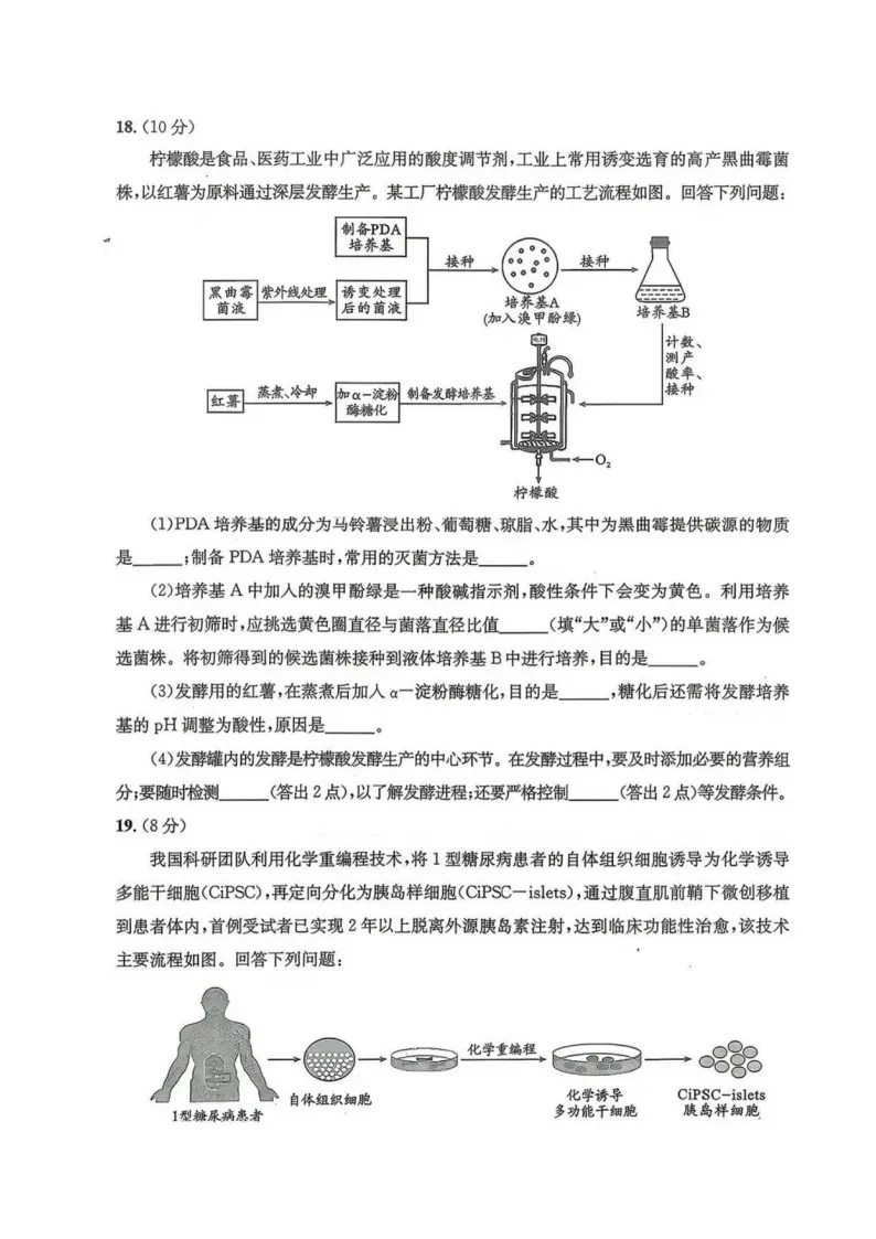九科全收录!2027届成都零诊真题+参考答案一站汇总-第114张图片-四季读书网 九科全收录!2027届成都零诊真题+参考答案一站汇总-第114张图片-四季读书网