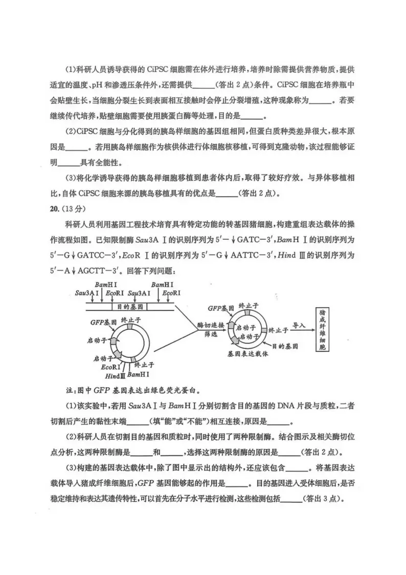 九科全收录!2027届成都零诊真题+参考答案一站汇总-第115张图片-四季读书网 九科全收录!2027届成都零诊真题+参考答案一站汇总-第115张图片-四季读书网