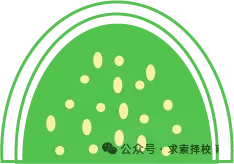 中考低分不用放弃!这条升学通道到底有多香?|广东南粤技工学校火热招生中-第4张图片-四季读书网 中考低分不用放弃!这条升学通道到底有多香?|广东南粤技工学校火热招生中-第4张图片-四季读书网