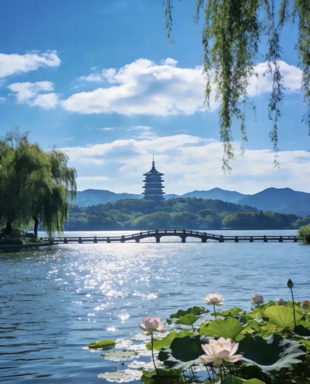 【地理热点|真题赏析】2026年高考地理浙江卷第26题赏析及2027届高三地理复习备考策略-第1张图片-四季读书网 【地理热点|真题赏析】2026年高考地理浙江卷第26题赏析及2027届高三地理复习备考策略-第1张图片-四季读书网