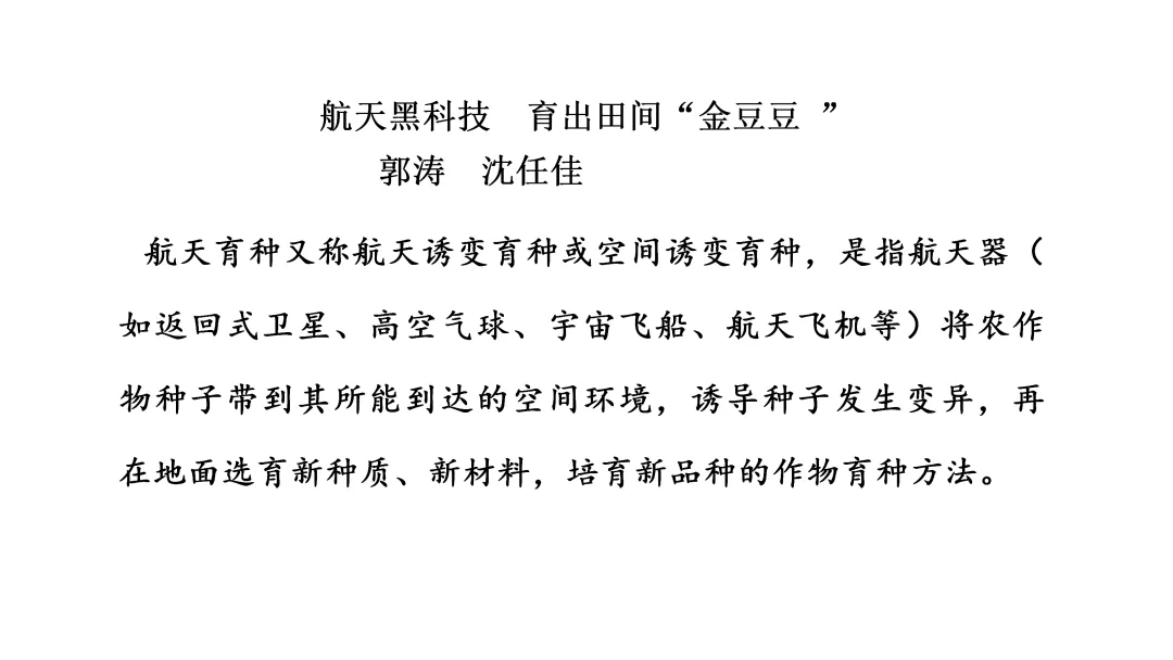 2026湖南中考语文真题 课件 31张-第8张图片-四季读书网