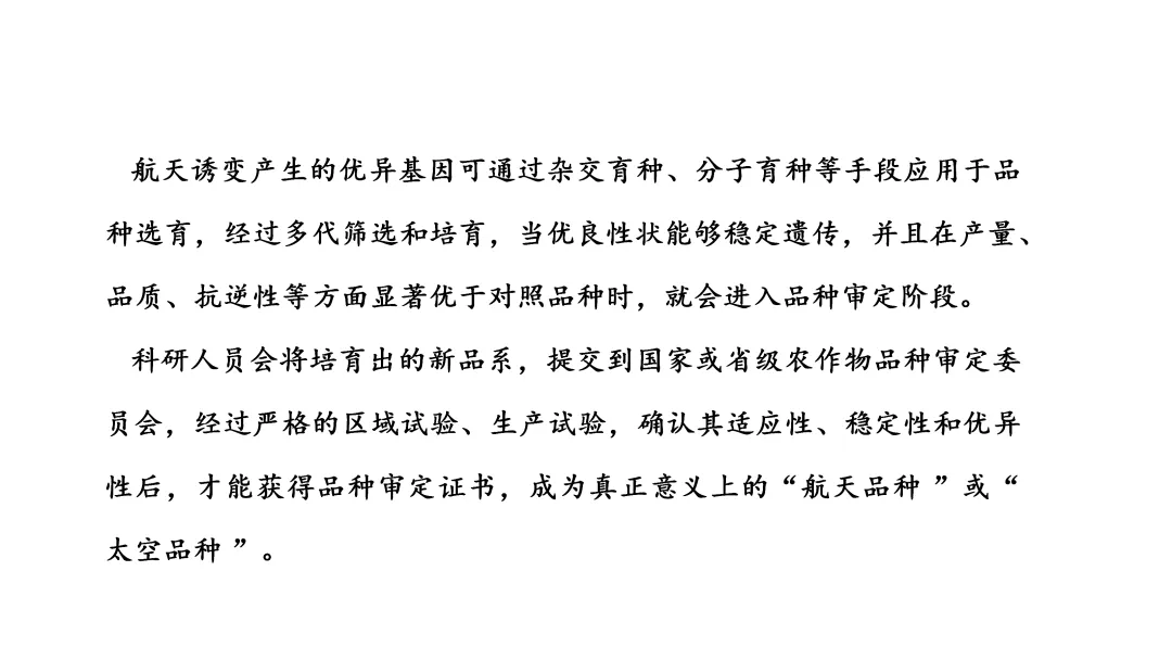 2026湖南中考语文真题 课件 31张-第11张图片-四季读书网