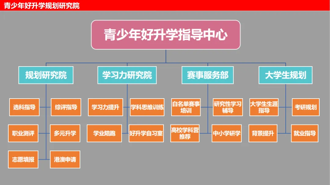 中考已落幕,青春不设限!2023级初中毕业生多元升学路径全解析-第10张图片-四季读书网 中考已落幕,青春不设限!2023级初中毕业生多元升学路径全解析-第10张图片-四季读书网