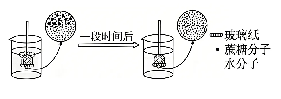 2026高考真题分类汇编(第1版)——物质输入与输出-第2张图片-四季读书网
