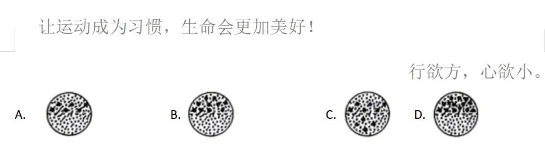 2026高考真题分类汇编(第1版)——物质输入与输出-第3张图片-四季读书网