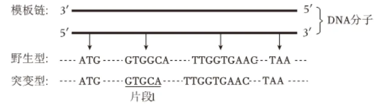 2024-2026三年高考生物真题分类专题练习5下-第2张图片-四季读书网