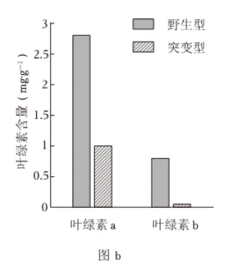 2024-2026三年高考生物真题分类专题练习5下-第3张图片-四季读书网
