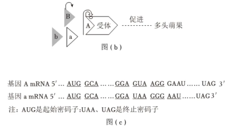 2024-2026三年高考生物真题分类专题练习5下-第4张图片-四季读书网