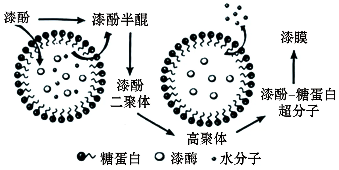 2026中考真题汇编(一)-非连续性文本阅读-第8张图片-四季读书网 2026中考真题汇编(一)-非连续性文本阅读-第8张图片-四季读书网