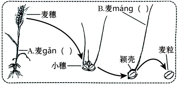 2026中考真题汇编(一)-综合性学习图文转换-第15张图片-四季读书网 2026中考真题汇编(一)-综合性学习图文转换-第15张图片-四季读书网