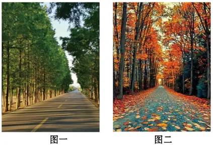 2026中考真题汇编(一)-综合性学习图文转换-第19张图片-四季读书网 2026中考真题汇编(一)-综合性学习图文转换-第19张图片-四季读书网