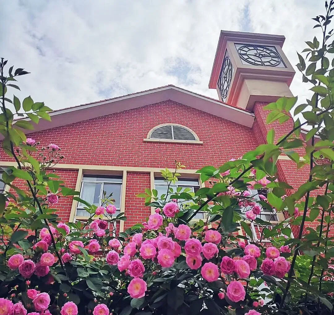 中考升学早知道(六)校园开放日——国际班择校,让“子弹”再飞一会儿-第11张图片-四季读书网