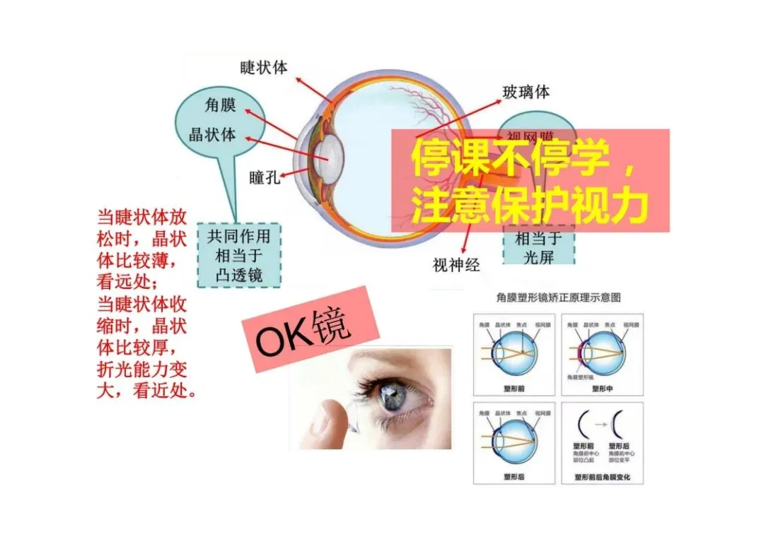 中考物理图像问题总结,孩子掌握就能提分!(可打印)-第21张图片-四季读书网