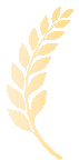 喜报:莒口中学2026年中考再创佳绩!-第3张图片-四季读书网 喜报:莒口中学2026年中考再创佳绩!-第3张图片-四季读书网