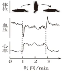 2024-2026三年高考生物真题分类专题练习8(上和下)-第3张图片-四季读书网 2024-2026三年高考生物真题分类专题练习8(上和下)-第3张图片-四季读书网