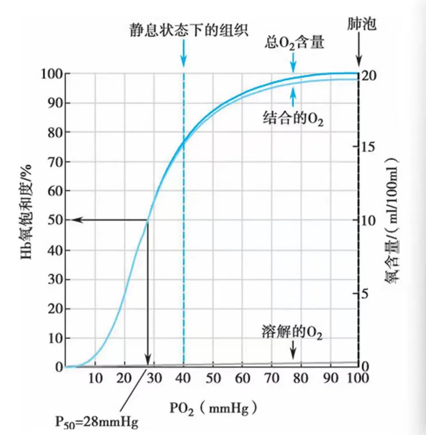 真题带练啦!27考研倒计时155天——内护呼吸-第5张图片-四季读书网 真题带练啦!27考研倒计时155天——内护呼吸-第5张图片-四季读书网