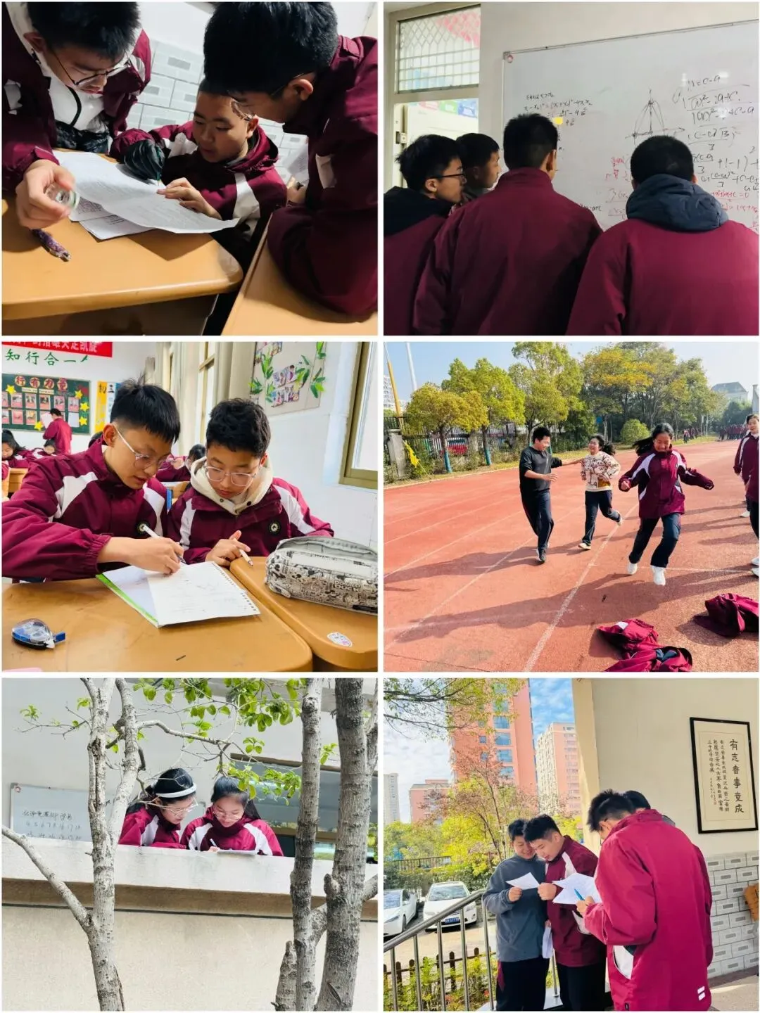 中考专栏•班科组|笃行磨剑终出鞘,少年乘风赴青云——初三5班-第13张图片-四季读书网 中考专栏•班科组|笃行磨剑终出鞘,少年乘风赴青云——初三5班-第13张图片-四季读书网