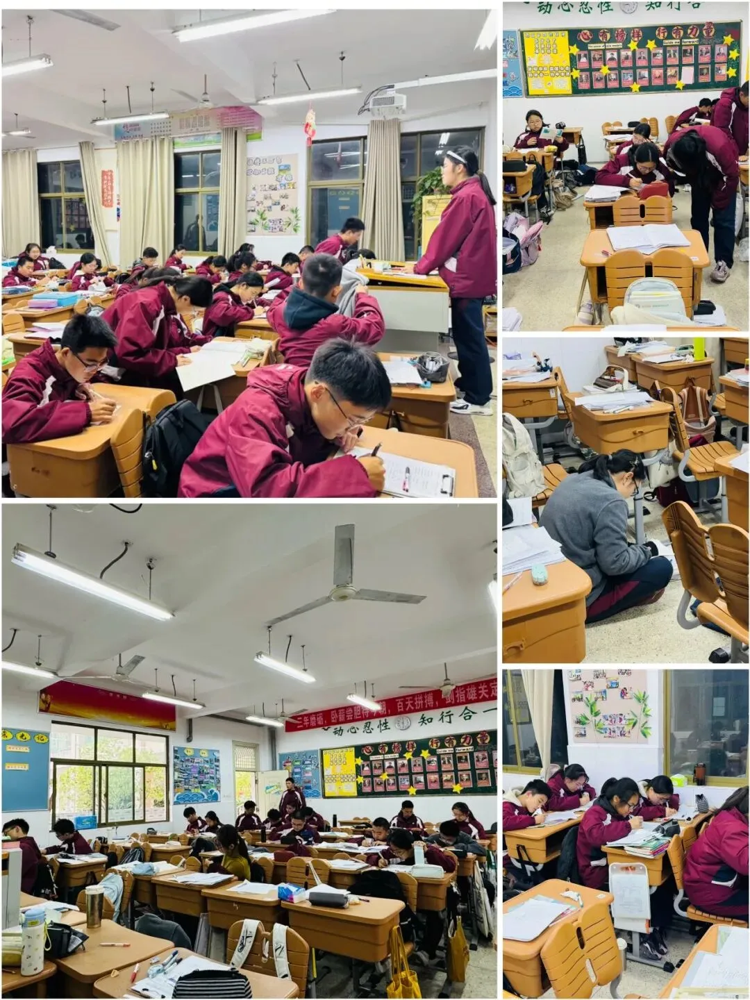 中考专栏•班科组|笃行磨剑终出鞘,少年乘风赴青云——初三5班-第14张图片-四季读书网 中考专栏•班科组|笃行磨剑终出鞘,少年乘风赴青云——初三5班-第14张图片-四季读书网