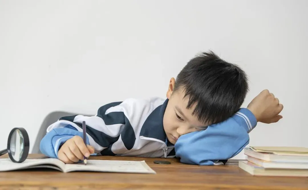 广州中考放榜,492分就能上普高?家长别高兴太早-第1张图片-四季读书网 广州中考放榜,492分就能上普高?家长别高兴太早-第1张图片-四季读书网
