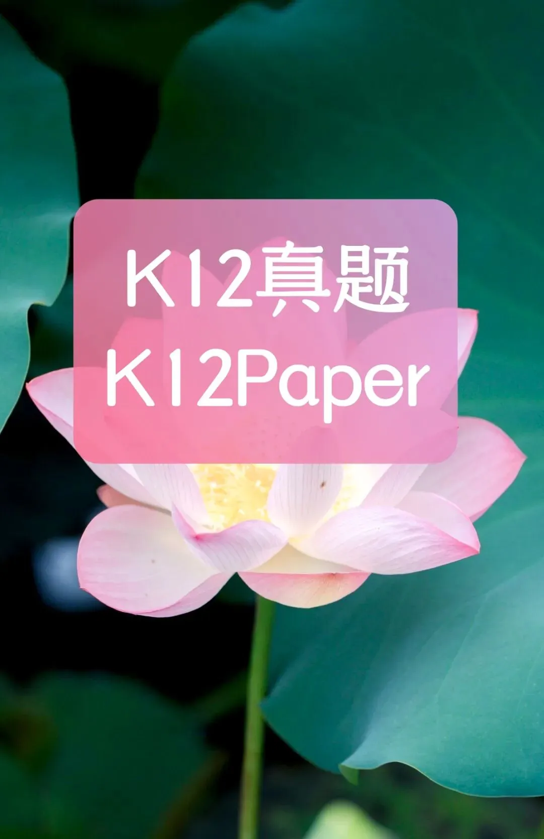 中考真题原卷:北京市2026年中考数学、英语试题(含答案)-第33张图片-四季读书网 中考真题原卷:北京市2026年中考数学、英语试题(含答案)-第33张图片-四季读书网