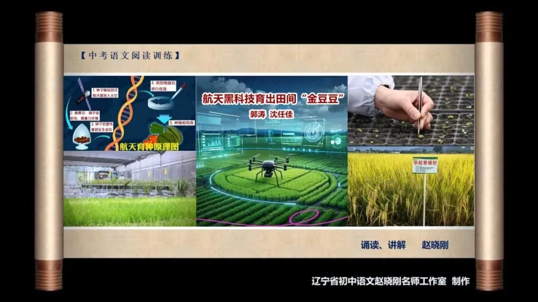 【中考阅读指导】航天黑科技育出田间“金豆豆”(郭涛 沈任佳)湖南2026-第2张图片-四季读书网 【中考阅读指导】航天黑科技育出田间“金豆豆”(郭涛 沈任佳)湖南2026-第2张图片-四季读书网