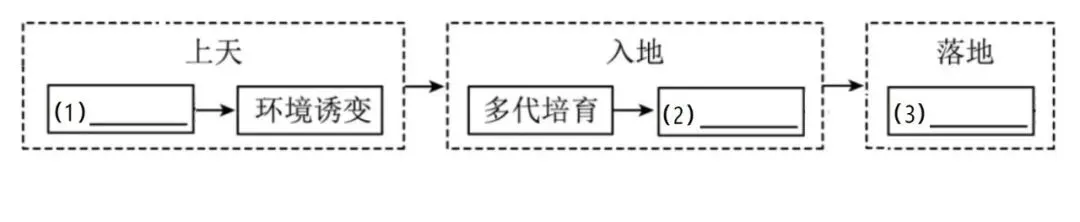【中考阅读指导】航天黑科技育出田间“金豆豆”(郭涛 沈任佳)湖南2026-第3张图片-四季读书网 【中考阅读指导】航天黑科技育出田间“金豆豆”(郭涛 沈任佳)湖南2026-第3张图片-四季读书网