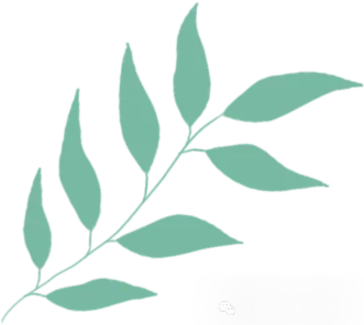 2026中山中考同分投档位序公布!录取通知即将录取公布!你准备好了吗-第16张图片-四季读书网 2026中山中考同分投档位序公布!录取通知即将录取公布!你准备好了吗-第16张图片-四季读书网