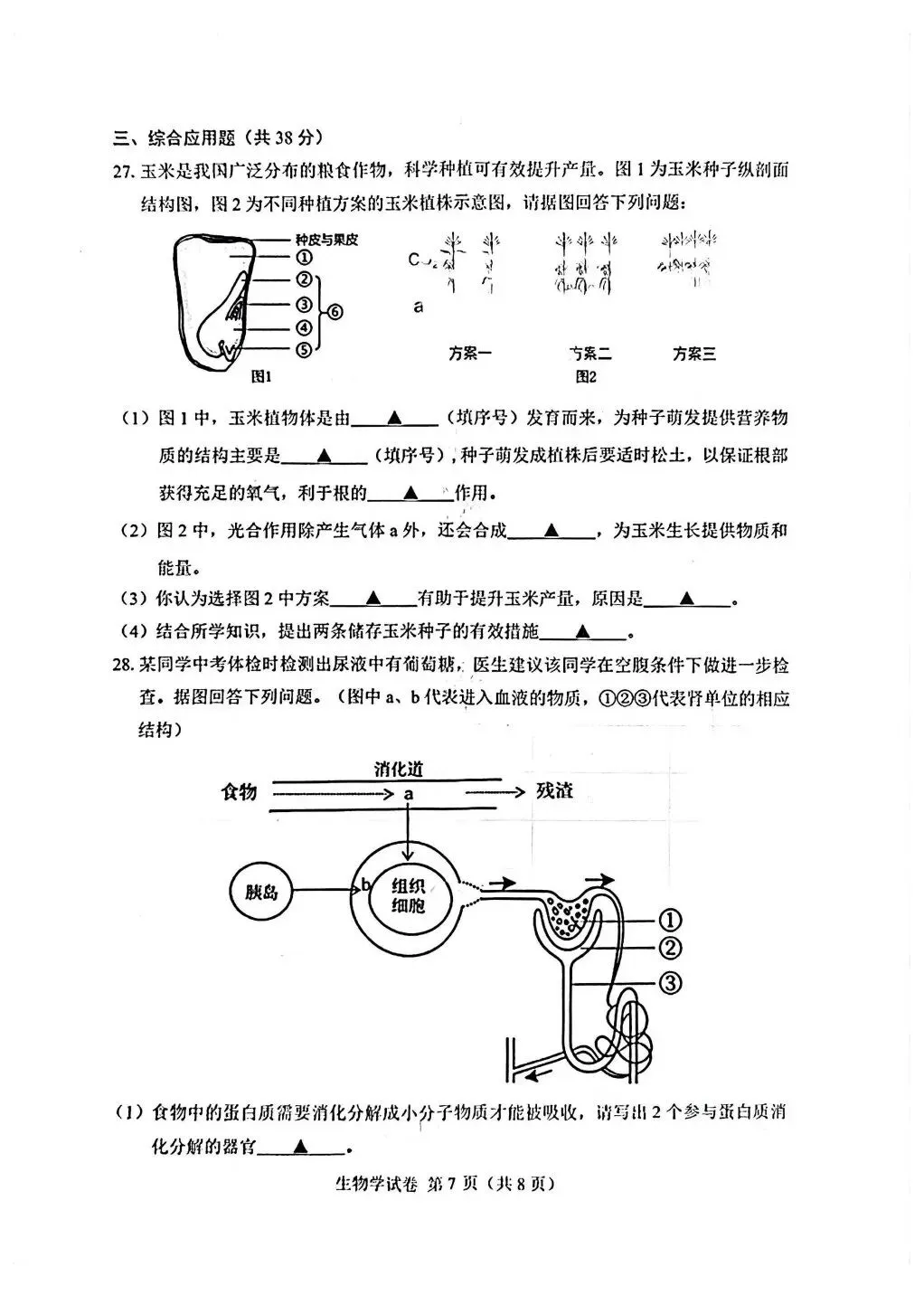 2026遂宁“中考”生物真题与答案-第6张图片-四季读书网