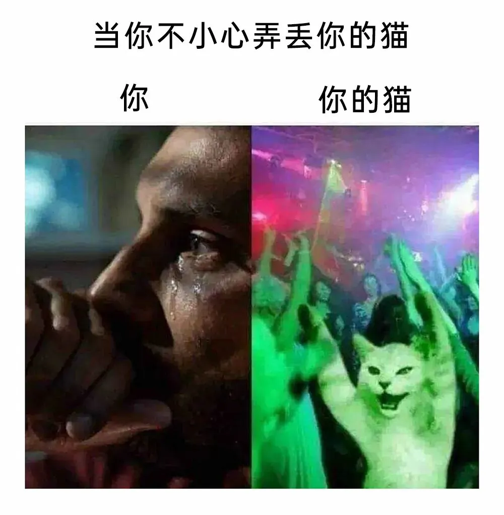 今日梗图丨当你比其他人更早写完试卷然后你开始巡视整个考场情况:-第20张图片-四季读书网